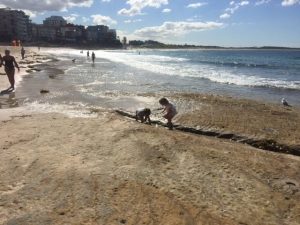 Cronulla Beach