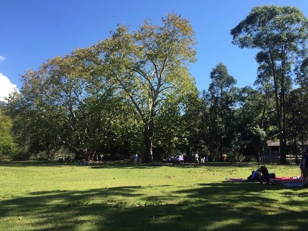 Audley grass area