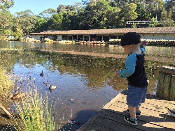 Audley feeding ducks