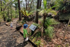 Scavenger hunt at Sir Joseph banks reserve Kareela -2mb
