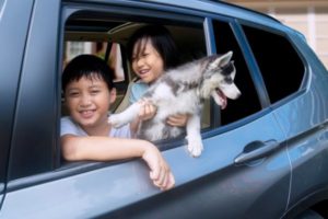 kids and puppy in car