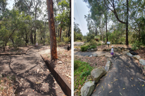 Images from sir josephs bank reserve kareela