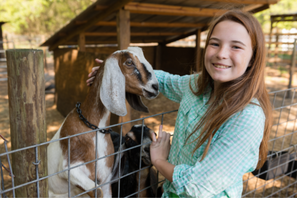 Girl and goat on farm