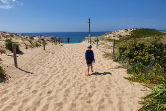 North Cronulla - Wanda Beach