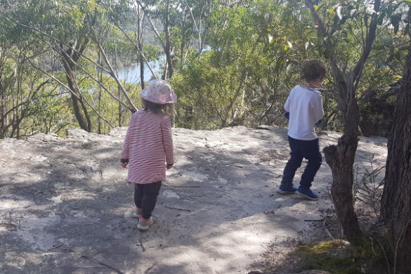 Bonnet Bay bush walk with kids