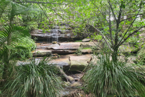 Cassandra Crescent Reserve- Heathcote