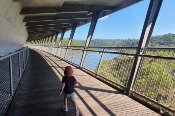 Woronora bridge walk views