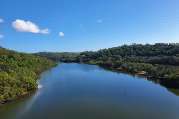 Woronora bridge views
