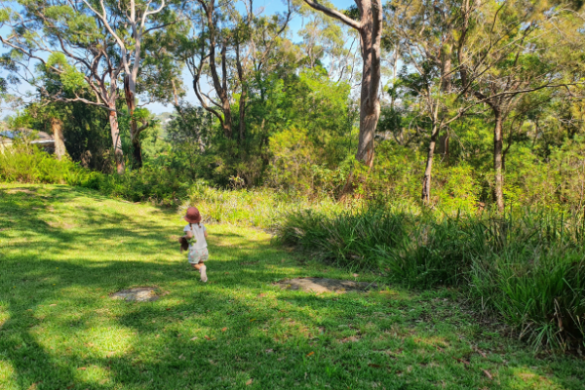 Green Point Reserve, Oyster Bay playground bushwalk