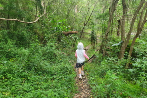 Cassandra Crescent Reserve- Heathcote