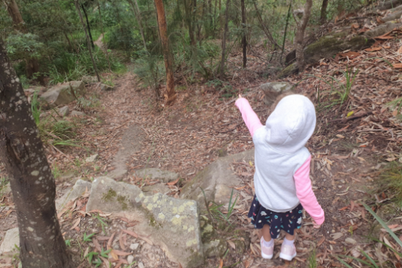 Cassandra Crescent Reserve- Heathcote