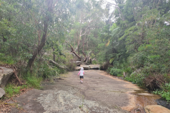 Cassandra Crescent Reserve- Heathcote