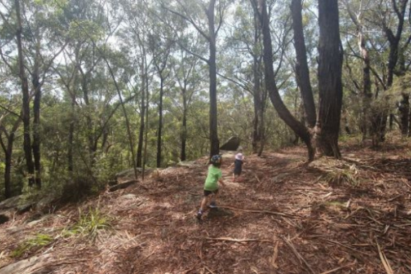 Old School Park Gymea