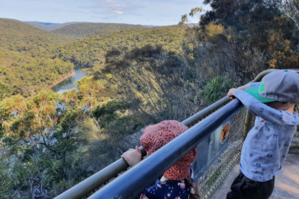 Bungoona Lookout