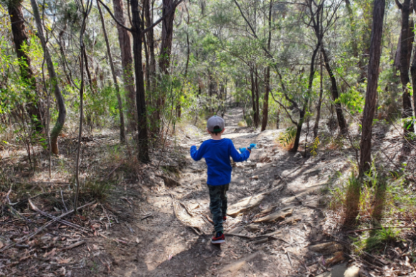 Burnum Burnum sanctuary bushwalk