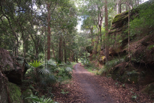 Lady Carrington Drive walk