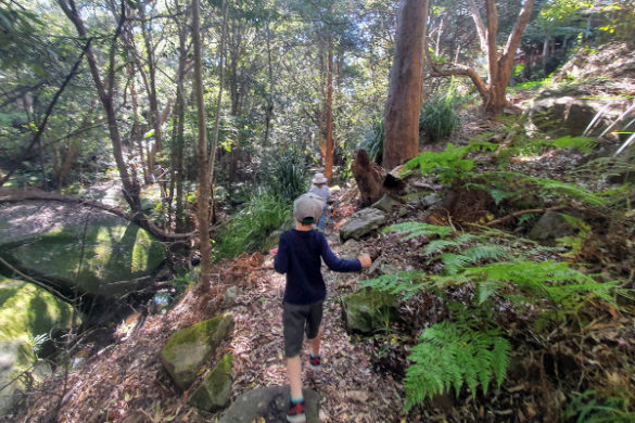 Koolangarra Bushland Reserve