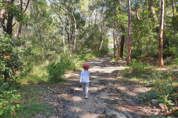Cassandra Crescent Reserve 1