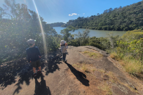 Koolangarra Bushland reserve views
