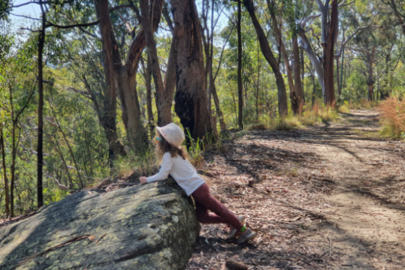Leawarra Trail Engadine