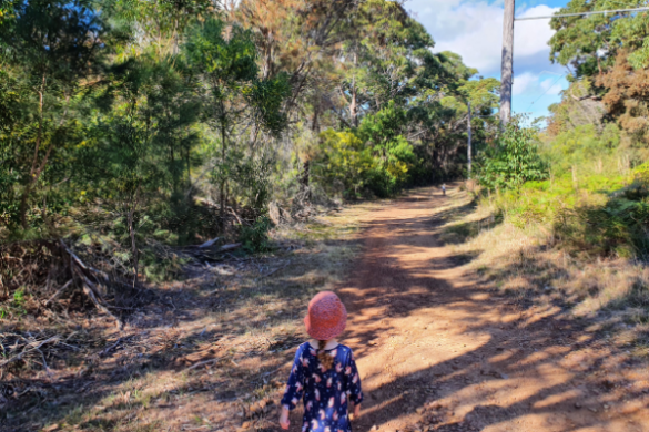 Rawson Parade Trail